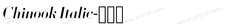 Chinook Italic字体转换 Chinook Italic字体转换